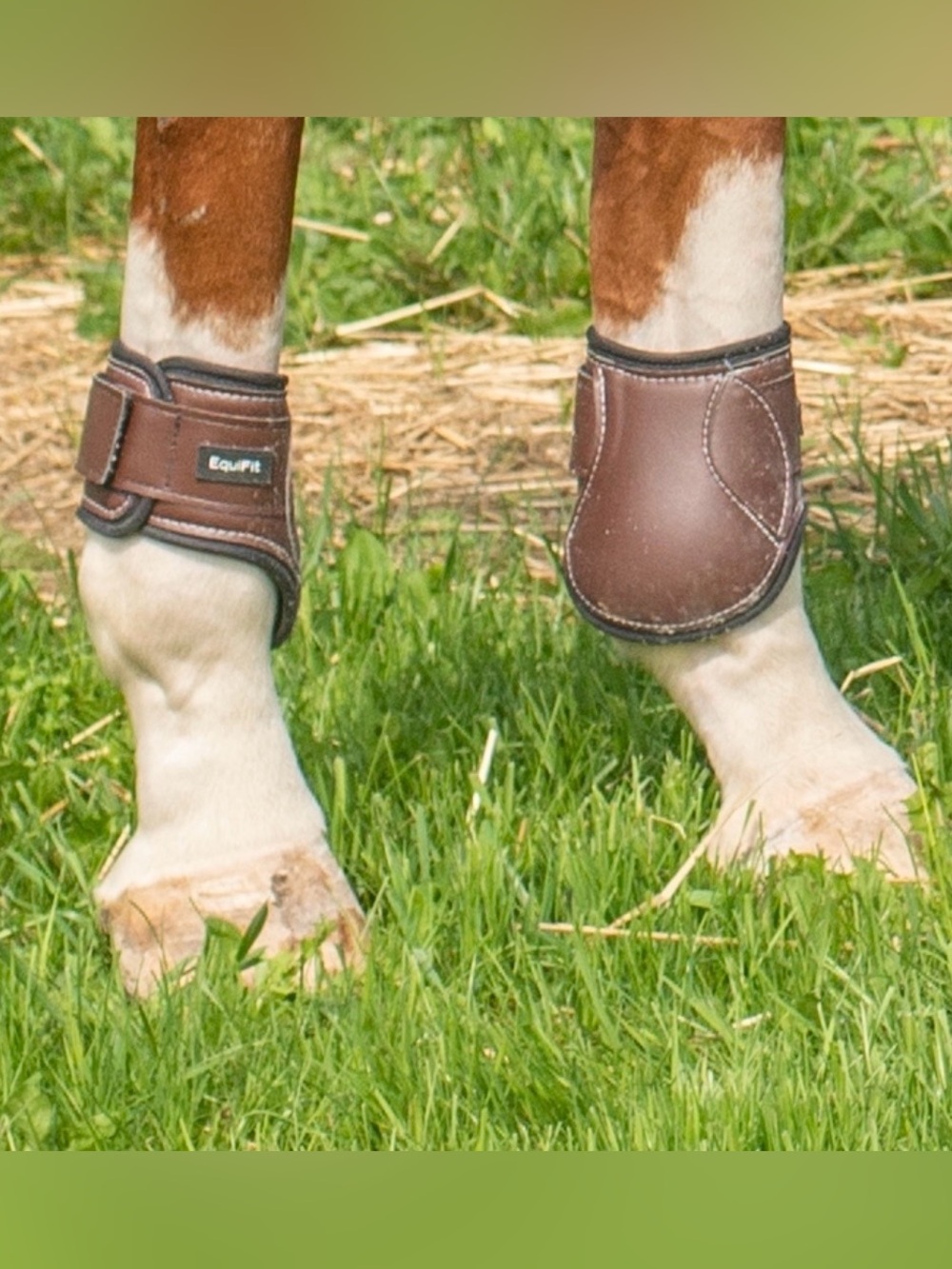 Equifit Young Horse Hind Boot-XL